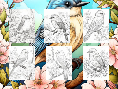 25 Cute Bird Coloring Pages - Adults And Kids Coloring Book, Digital Coloring Sheets, Instant Download, Printable PDF File.