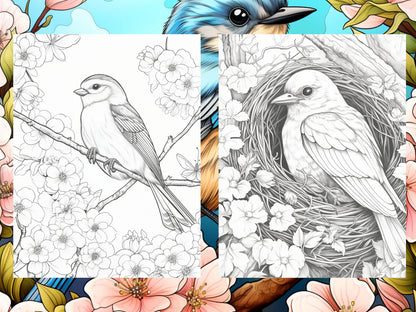 25 Cute Bird Coloring Pages - Adults And Kids Coloring Book, Digital Coloring Sheets, Instant Download, Printable PDF File.